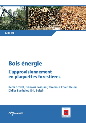 Bois énergie - Rémi Grovel, François Pasquier, Tammouz Eñaut Helou, Didier Barthelet, Eric Boittin - EDP Sciences