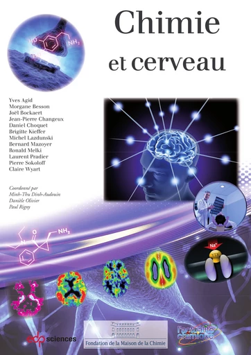 Chimie et cerveau - Yves Agid, Morgane Besson, Joël Bockaert, Jean-Pierre Changeux, Daniel Choquet, Brigitte Kieffer, Michel Lazdunski, Bernard Mazoyer, Ronald Melki, Laurent Pradier, Pierre Sokoloff, Claire Wyart - EDP Sciences