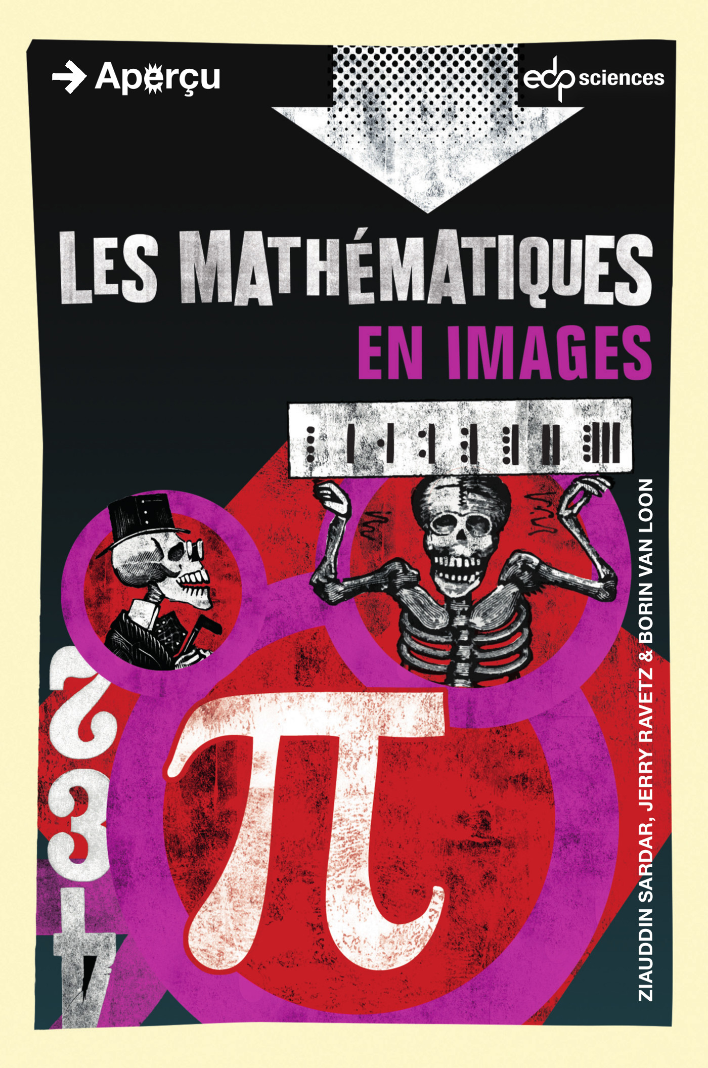 Les mathématiques en images - - Ziauddin Sardar, Jerry Ravetz