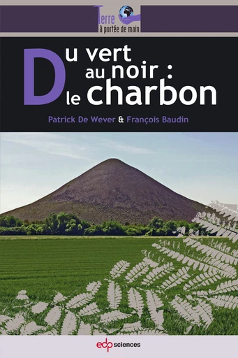 Du vert au noir : le charbon - Patrick De Wever, François Baudin - EDP Sciences