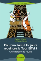 Pourquoi faut-il toujours repeindre la Tour Eiffel ? - Valérie L’Hostis, Damien Féron - EDP Sciences