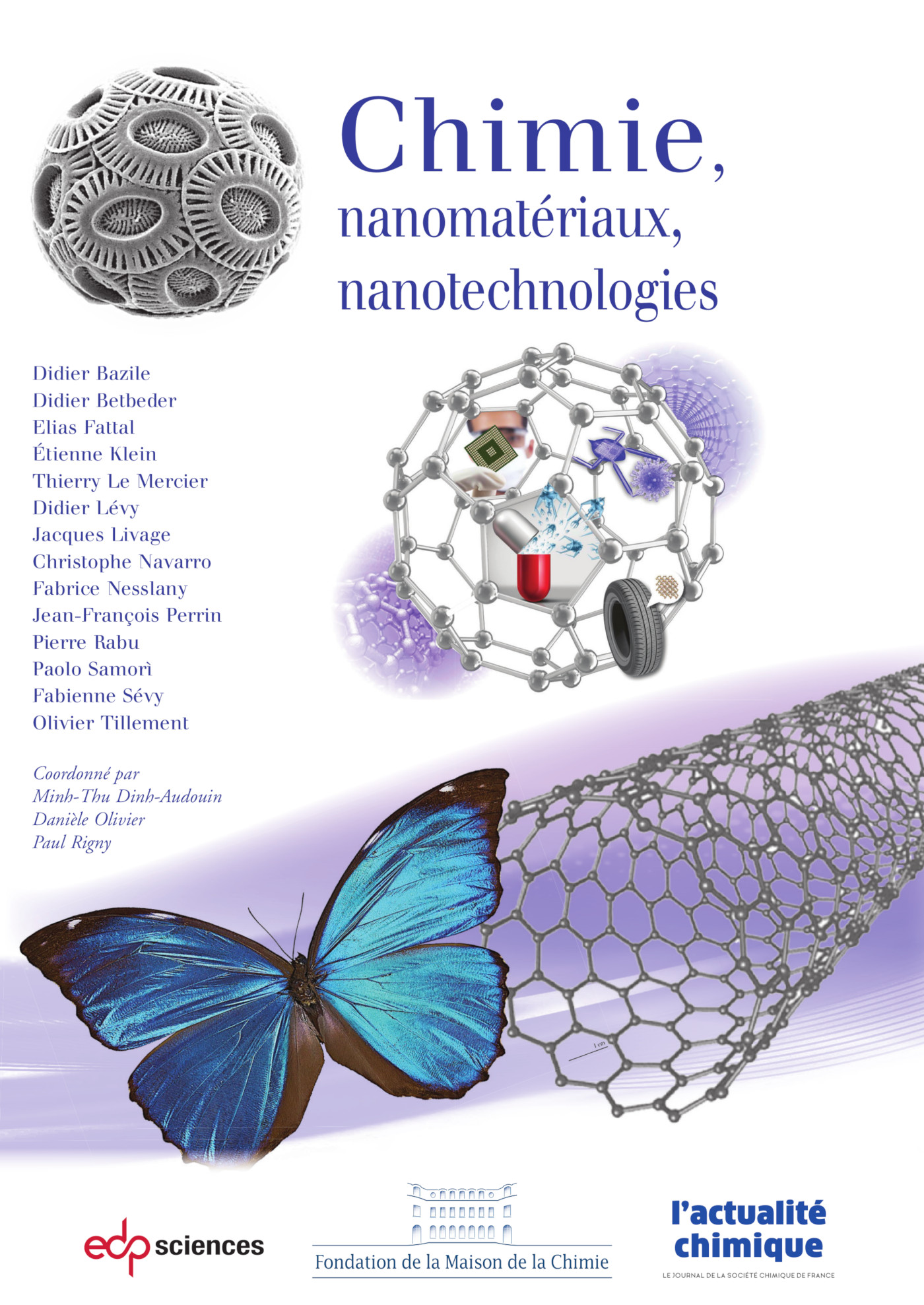 Chimie, nanomatériaux, nanotechnologies - - Didier Bazile, Didier ...