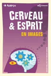 Cerveau et esprit en images