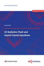 1D Radiative Fluid and Liquid Crystal Equations