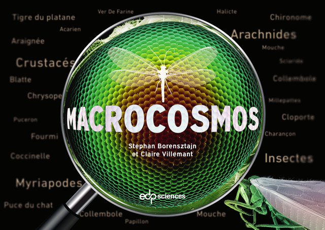 Macrocosmos - Stephan Borensztajn, Claire Villemant - EDP Sciences