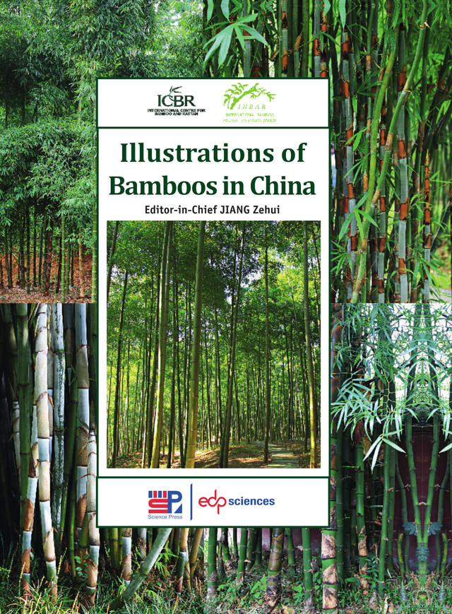 Illustrations of bamboos in China -  - EDP Sciences & Science Press